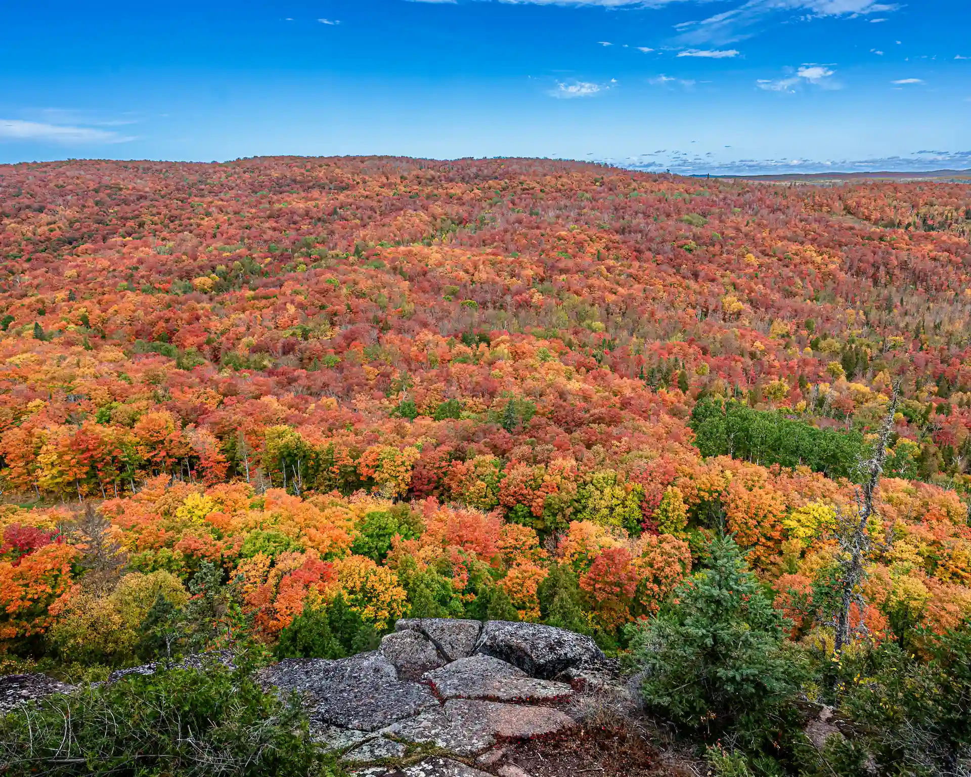 North Shore Fall Colors: When to Go, Where to Look, What to Expect